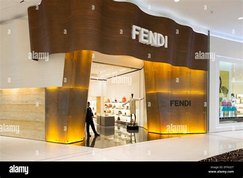 buy fendi palaces united arab emirates|the fendi dubai mall.